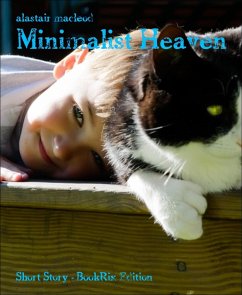 Minimalist Heaven (eBook, ePUB) - Macleod, Alastair