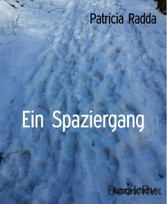 Ein Spaziergang (eBook, ePUB) - Radda, Patricia