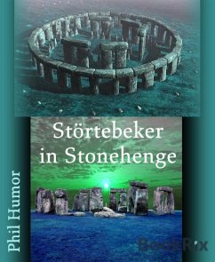 Störtebeker in Stonehenge (eBook, ePUB) - Humor, Phil