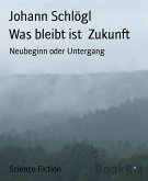 Was bleibt ist Zukunft (eBook, ePUB)