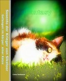 Sosento, der Krieger von Sikstoor (eBook, ePUB)