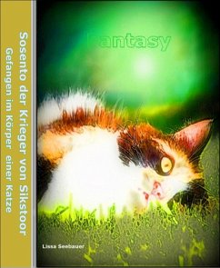 Sosento, der Krieger von Sikstoor (eBook, ePUB) - Seebauer, Lissa