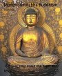 Modern Amitabha Buddhism (eBook, ePUB) - Bild 1