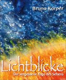 Lichtblicke (eBook, ePUB)