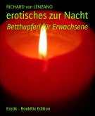 erotisches zur Nacht (eBook, ePUB)