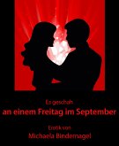 Es geschah an einem Freitag im September (eBook, ePUB)