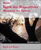 Lyrik des Augenblicks (eBook, ePUB)