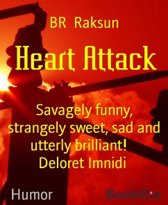 Heart Attack (eBook, ePUB) - Raksun, BR