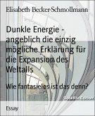 Dunkle Energie - angeblich die einzig mögliche Erklärung für die Expansion des Weltalls (eBook, ePUB)
