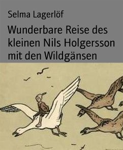 Wunderbare Reise des kleinen Nils Holgersson mit den Wildgänsen (eBook, ePUB) - Lagerlöf, Selma