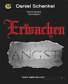 Erwachen (eBook, ePUB) - Schenkel, Daniel