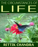 The Circumstances of Life (eBook, ePUB)