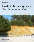 Gold-Grube unvergessen (eBook, ePUB)