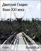 Воин XXI века (eBook, ePUB)