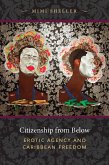 Citizenship from Below (eBook, PDF)
