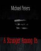 A Stranger Among Us (eBook, ePUB)