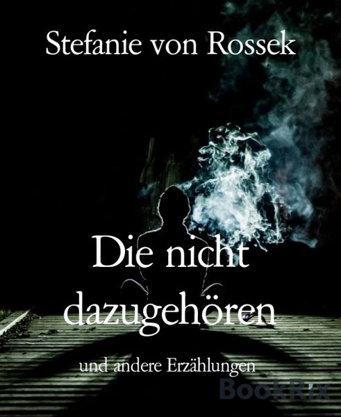 Die nicht dazugehören (eBook, ePUB)