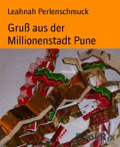 Gruß aus der Millionenstadt Pune (eBook, ePUB)