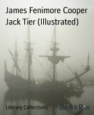 Jack Tier (Illustrated) (eBook, ePUB)