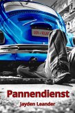 Pannendienst (eBook, ePUB)