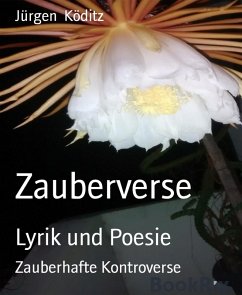 Zauberverse (eBook, ePUB) - Köditz, Jürgen