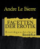 Facetten der Erotik (eBook, ePUB)