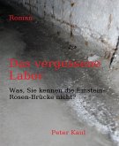 Das vergessene Labor (eBook, ePUB)