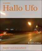 Hallo Ufo (eBook, ePUB)