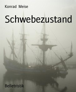 Schwebezustand (eBook, ePUB) - Meise, Konrad