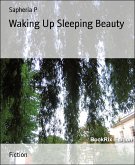 Waking Up Sleeping Beauty (eBook, ePUB)