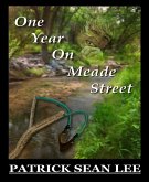 One Year On Meade Street (eBook, ePUB)