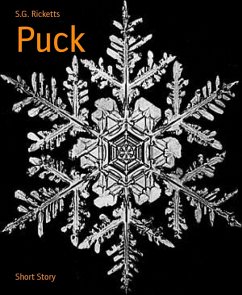 Puck (eBook, ePUB) - Ricketts, S. G.