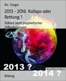 2013 - 2016 Kollaps oder Rettung ? (eBook, ePUB)