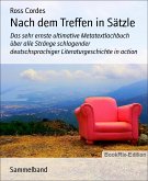 Nach dem Treffen in Sätzle (eBook, ePUB)