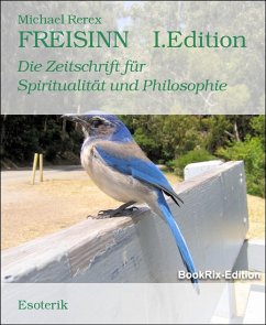 FREISINN I.Edition (eBook, ePUB) - Rerex, Michael