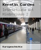 Internetliebe mit Hindernissen 2 (eBook, ePUB)