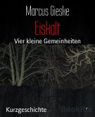 Eiskalt (eBook, ePUB)