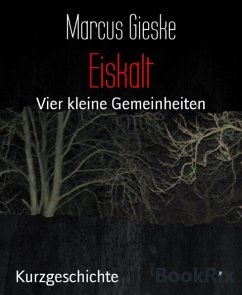 Eiskalt (eBook, ePUB) - Gieske, Marcus