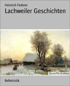 Lachweiler Geschichten (eBook, ePUB) - Federer, Heinrich