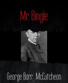 Mr. Bingle (eBook, ePUB)