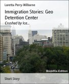 Immigration Stories: Geo Detention Center (eBook, ePUB)