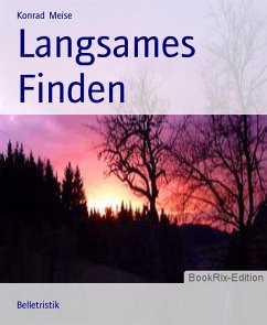 Langsames Finden (eBook, ePUB) - Meise, Konrad