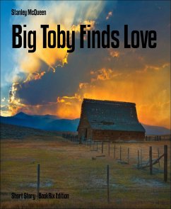 Big Toby Finds Love (eBook, ePUB) - McQueen, Stanley