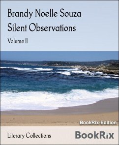 Silent Observations (eBook, ePUB) - Noelle Souza, Brandy