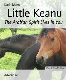 Little Keanu (eBook, ePUB)
