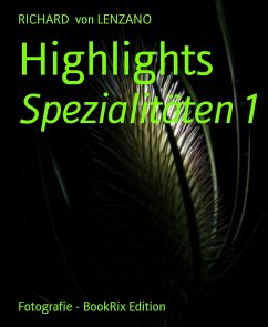 Highlights (eBook, ePUB) - von Lenzano, Richard