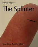 The Splinter (eBook, ePUB)