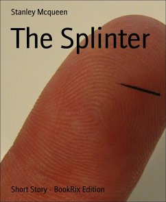 The Splinter (eBook, ePUB) - Mcqueen, Stanley