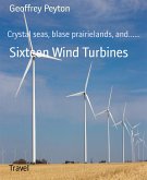 Sixteen Wind Turbines (eBook, ePUB)