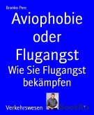 Aviophobie oder Flugangst (eBook, ePUB)